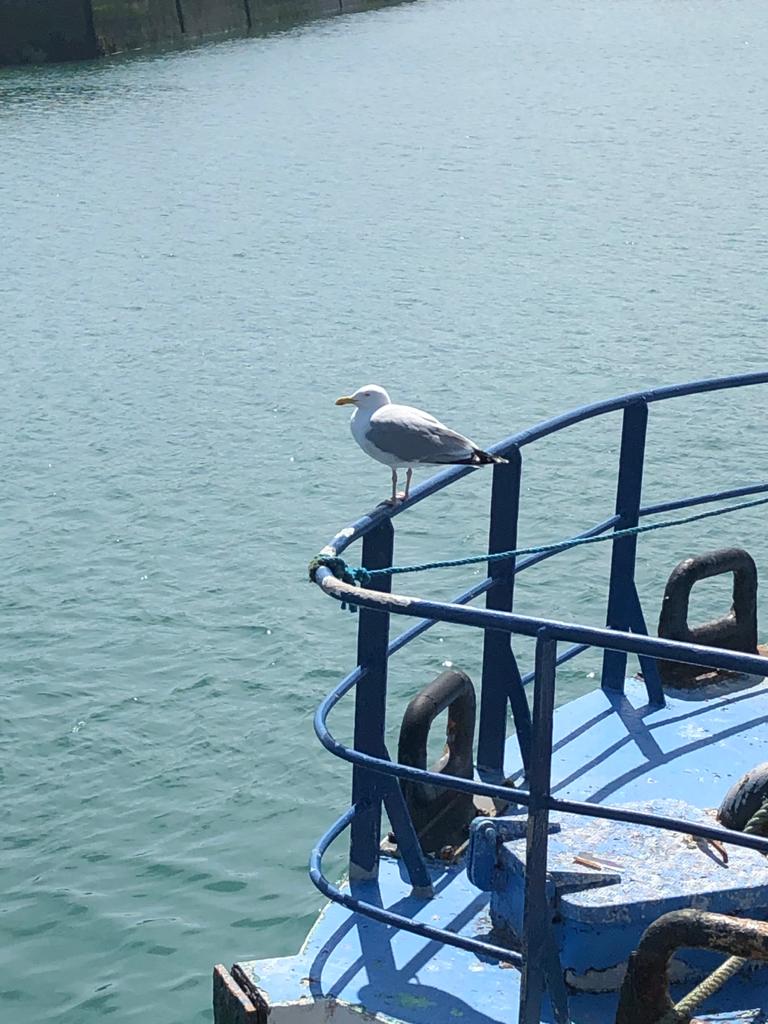 DOT THE I&rsquo;S AND CROSS THE&nbsp;T&rsquo;S